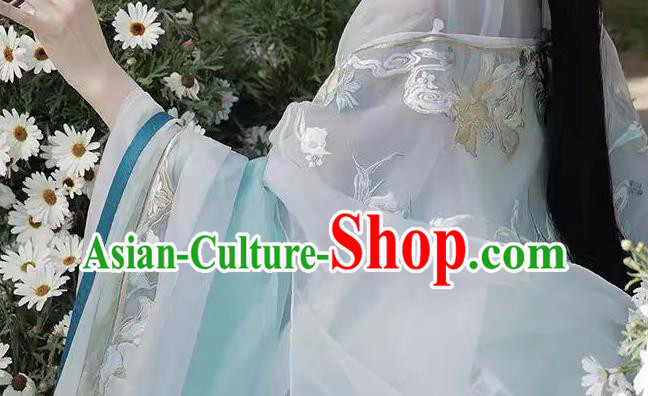 Chinese Ancient Goddess Clothing Hanfu Hezi Qun Tang Dynasty Princess Dresses