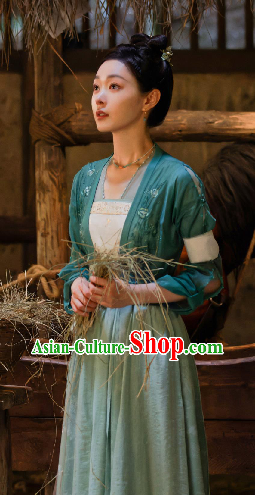 Ancient China Young Lady Clothing Traditional Chinese Tang Dynasty Civilian Woman Green Hanfu Dress TV Series Drama Follow Your Heart Yan Nan Xing Costume