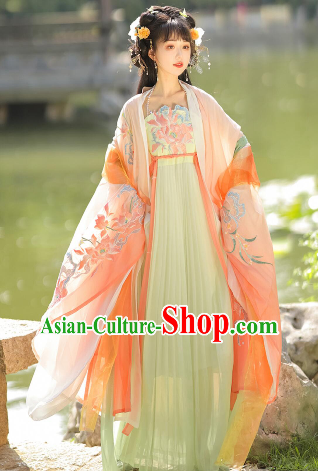 Ancient China Young Lady Costume Traditional Chinese Clothing Tang Dynasty Princess Hanfu Dress