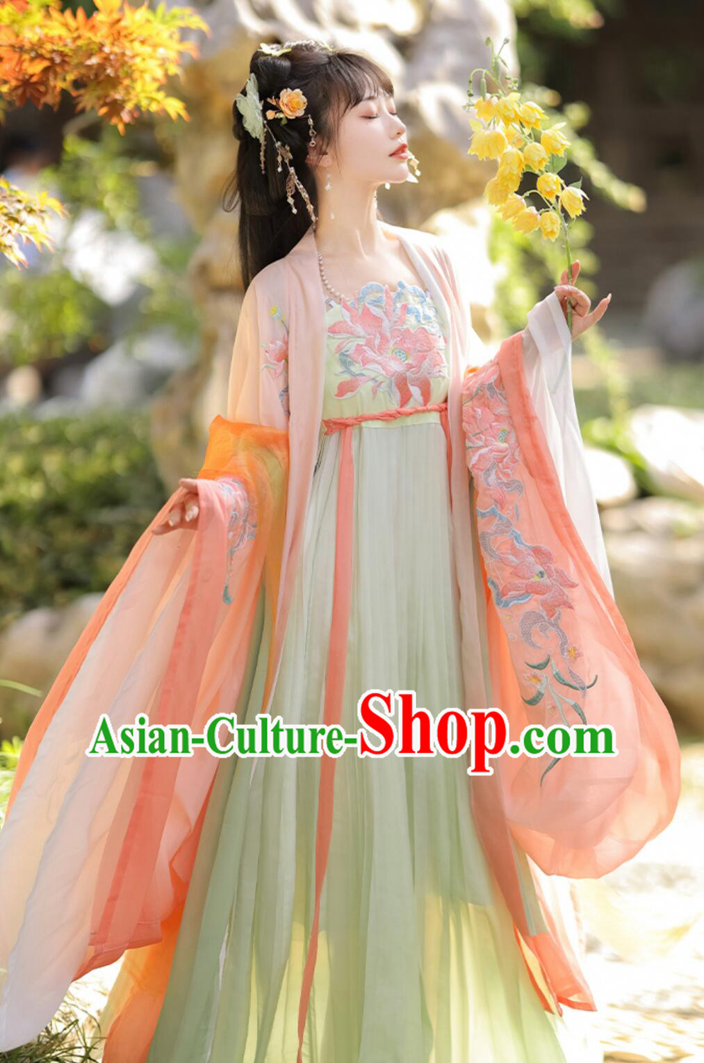Ancient China Young Lady Costume Traditional Chinese Clothing Tang Dynasty Princess Hanfu Dress