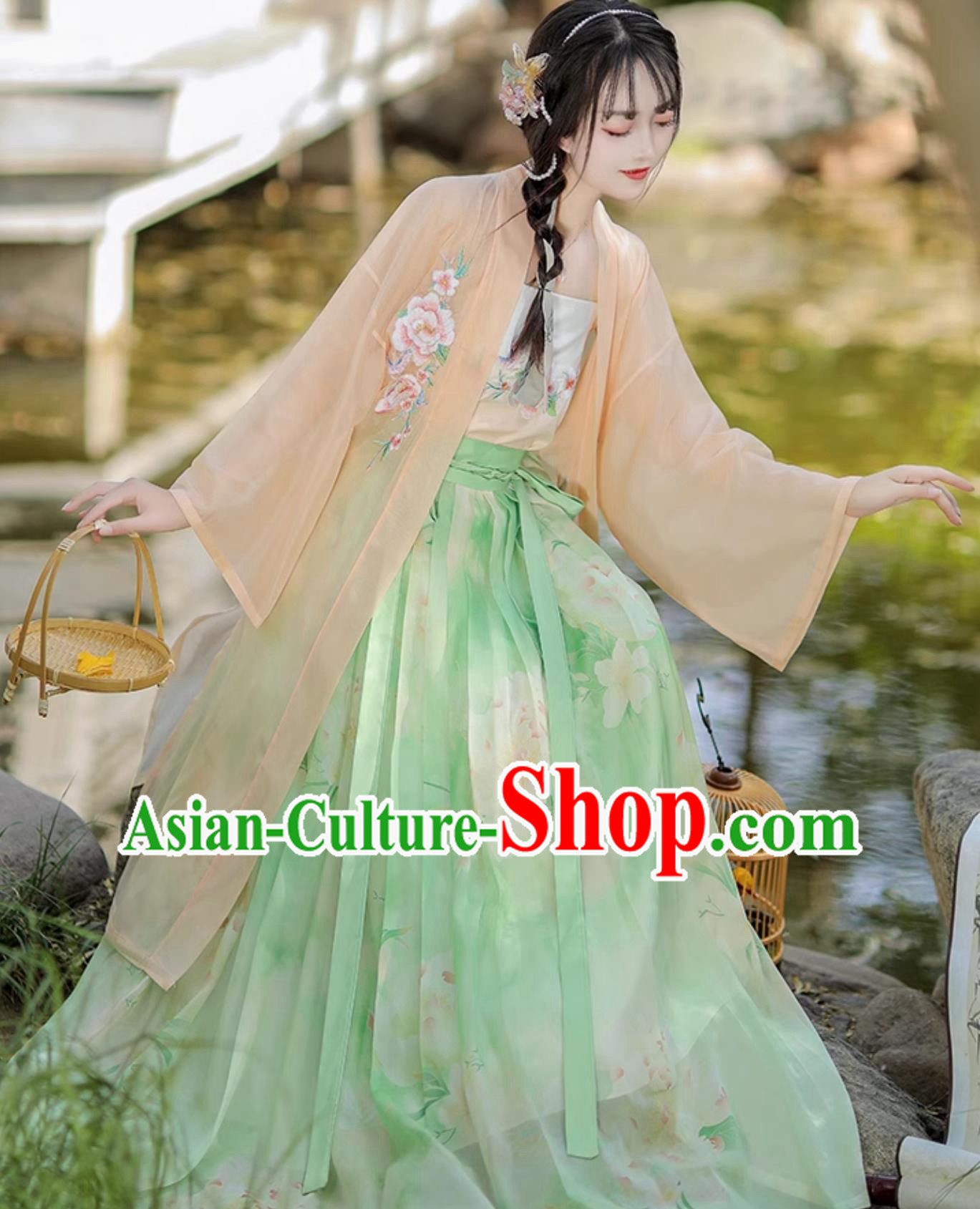 Chinese Song Dynasty Female Costume Ancient China Young Lady Clothing Traditional Hanfu Dress