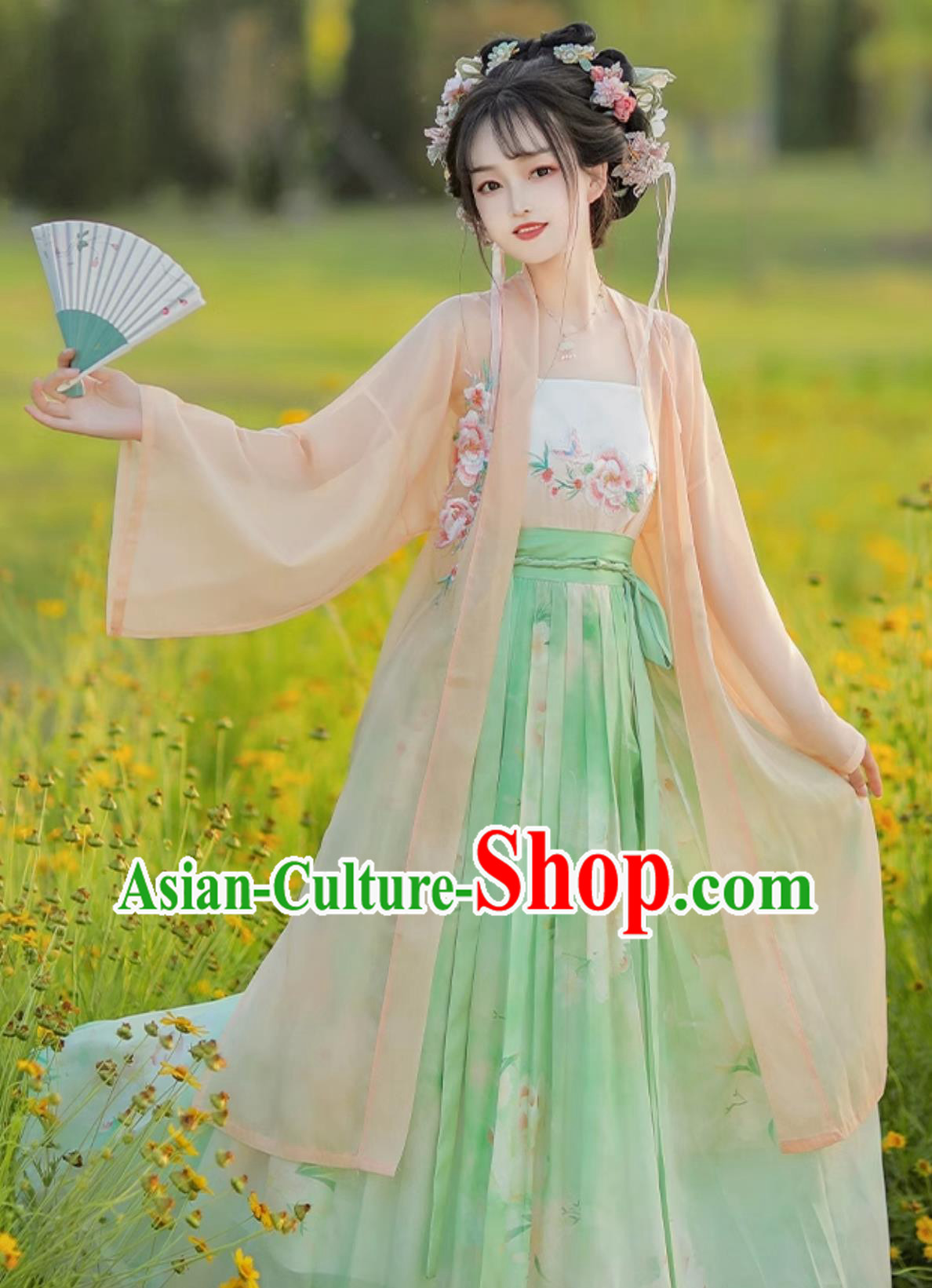 Chinese Song Dynasty Female Costume Ancient China Young Lady Clothing Traditional Hanfu Dress
