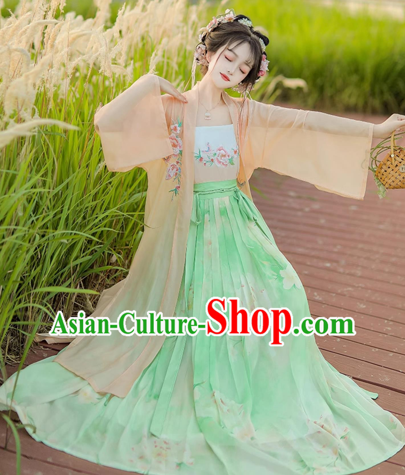 Chinese Song Dynasty Female Costume Ancient China Young Lady Clothing Traditional Hanfu Dress