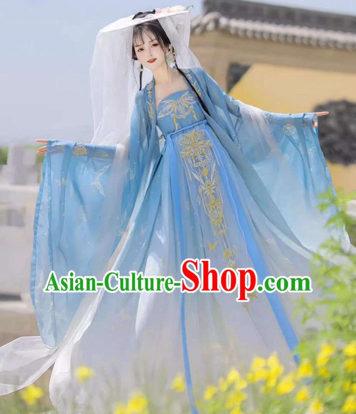 Traditional Chinese Blue Hanfu Dress Ancient China Princess Costume Tang Dynasty Court Lady Clothing