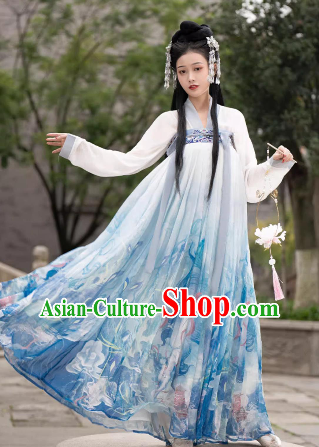 Ancient China Young Woman Costume Chinese Tang Dynasty Clothing Traditional Blue Hanfu Dresses