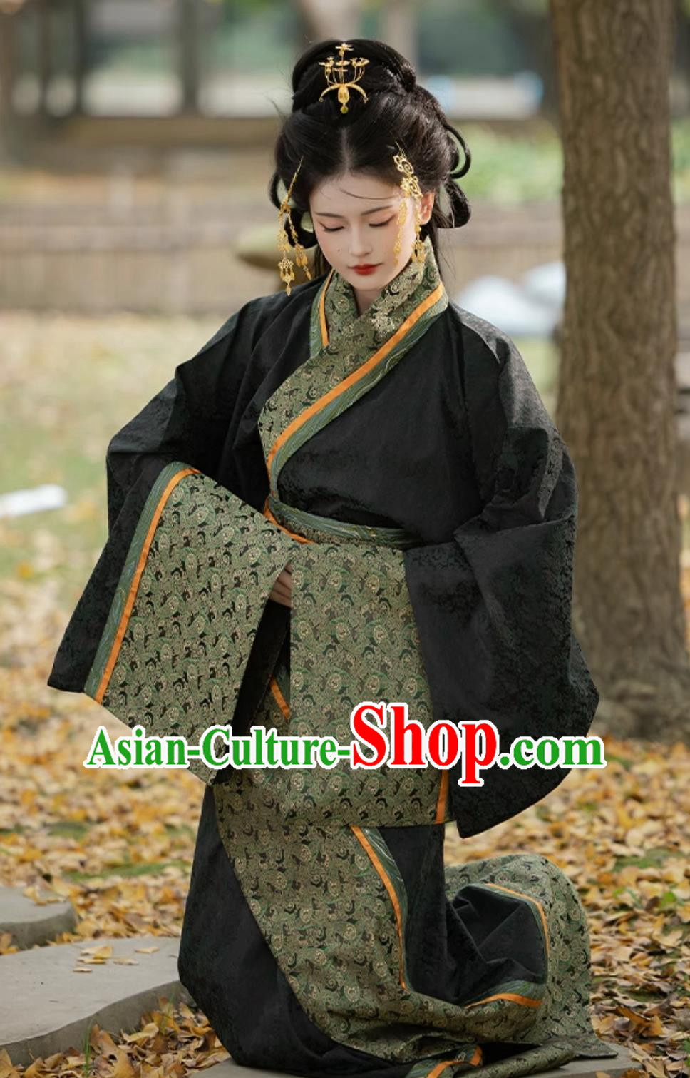 Chinese Warring States Robe Traditional Black Hanfu Dress Ancient China Royal Princess Costume