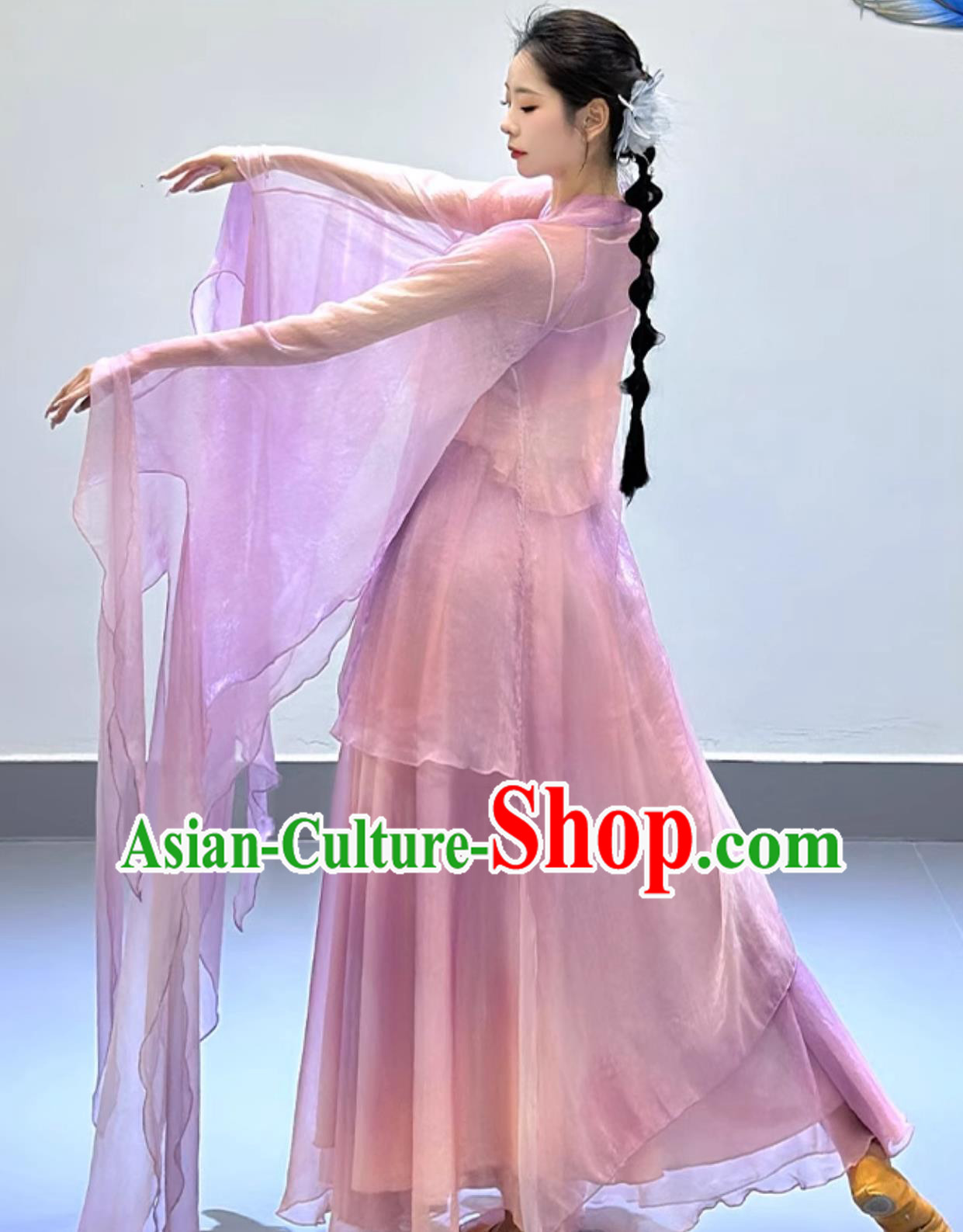 Chinese Classical Dance Costume Petal Dance Clothing Woman Solo Dance Lilac Dress
