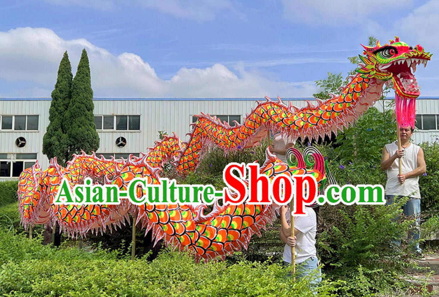 Chinese Northern Competition Dancing Dragon Handmade New Year Luminous Dragon Head Celebration Parade Dance Dragon Costume Complete Set