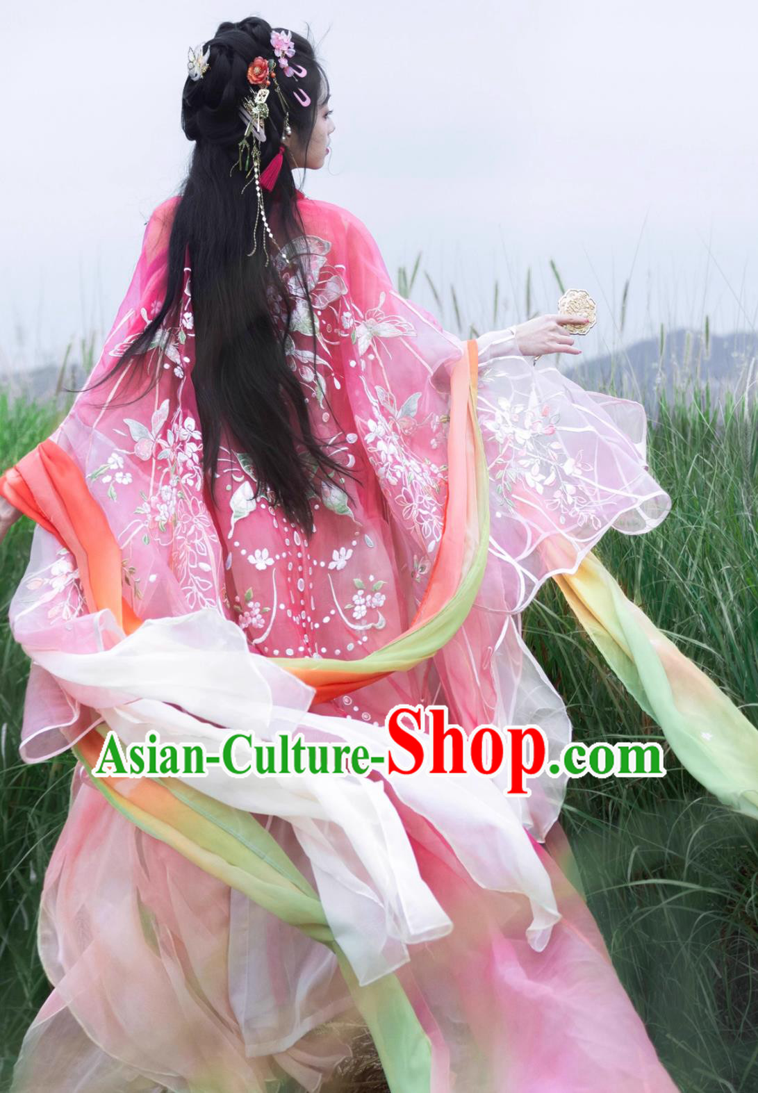 Chinese Princess Embroidered Heizi Dress Ancient Goddess Costumes Hanfu Online Shop