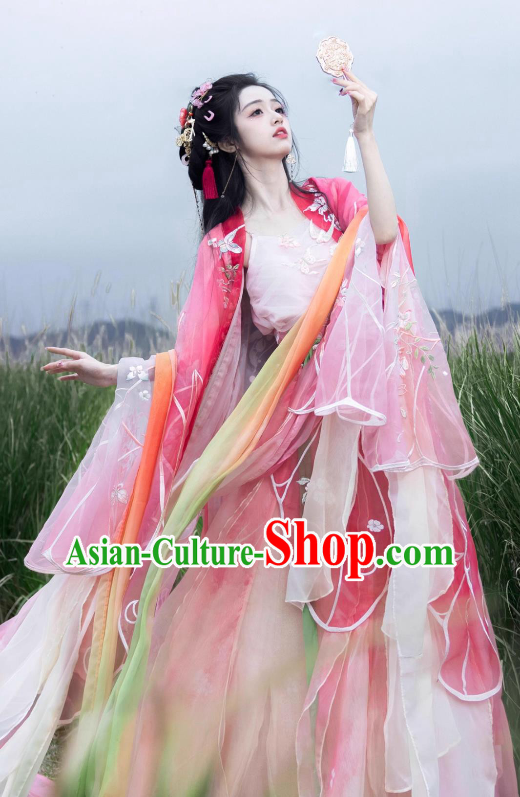 Chinese Princess Embroidered Heizi Dress Ancient Goddess Costumes Hanfu Online Shop