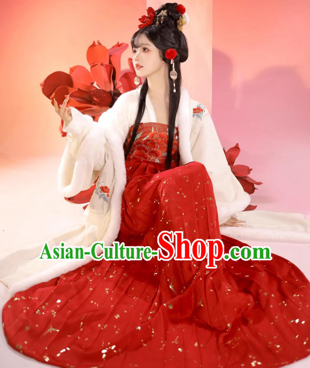 Chinese Song Dynasty Young Lady Costumes Traditional Ancient Women Winter New Year Outfit