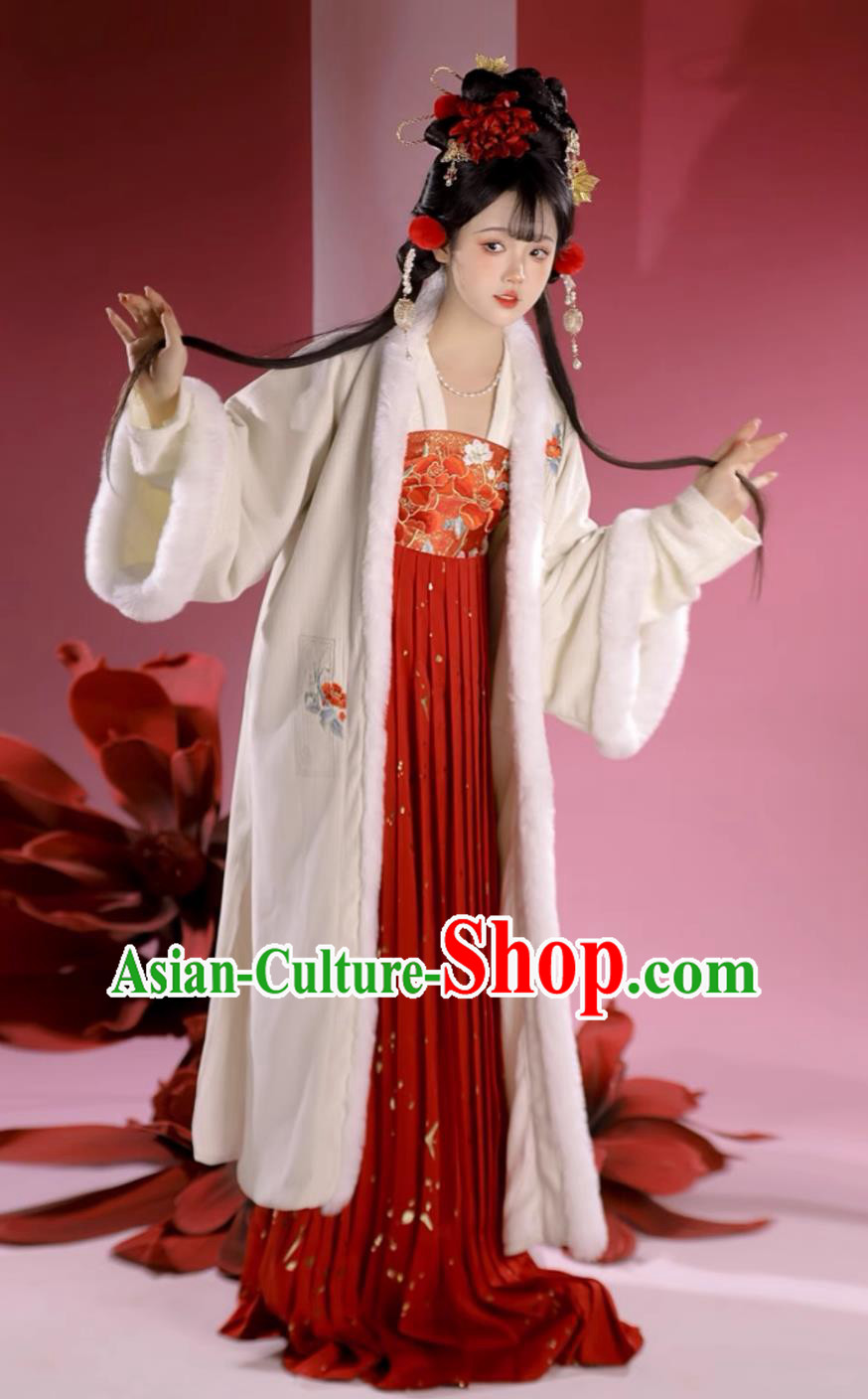 Chinese Song Dynasty Young Lady Costumes Traditional Ancient Women Winter New Year Outfit