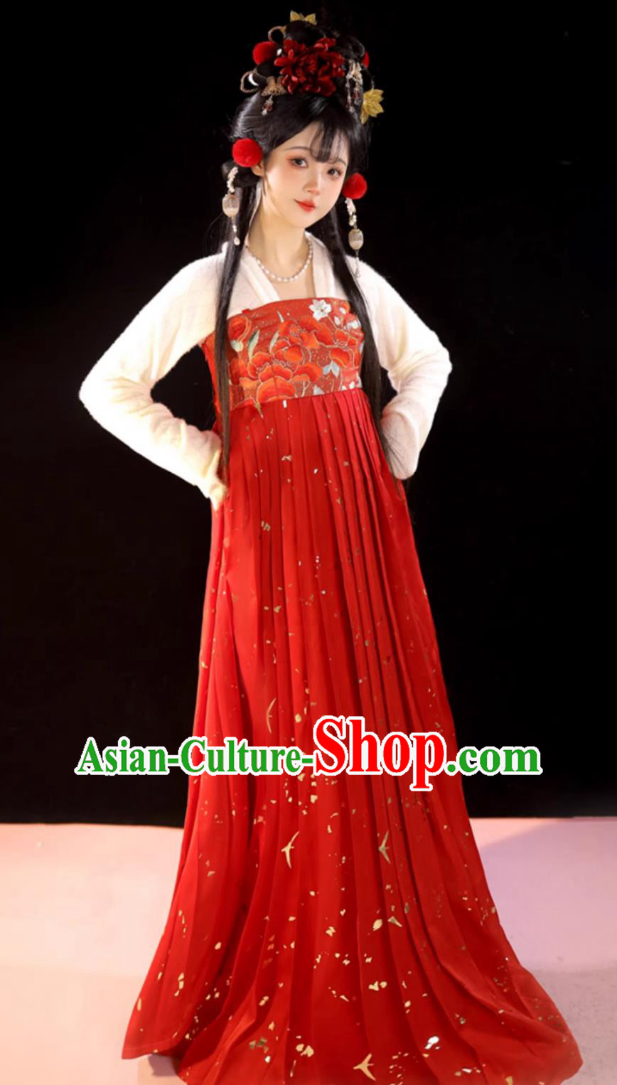 Chinese Song Dynasty Young Lady Costumes Traditional Ancient Women Winter New Year Outfit