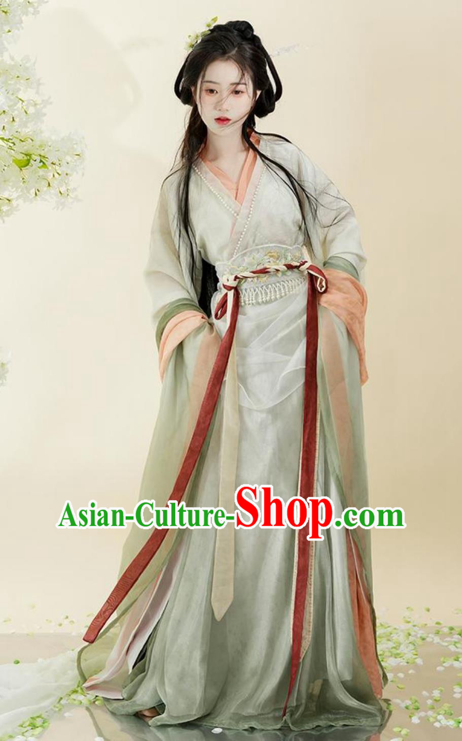 Ancient China Southern and Northern Dynasties Hanfu Clothing Online Buy Traditional Chinese Princess Costume Female Dress