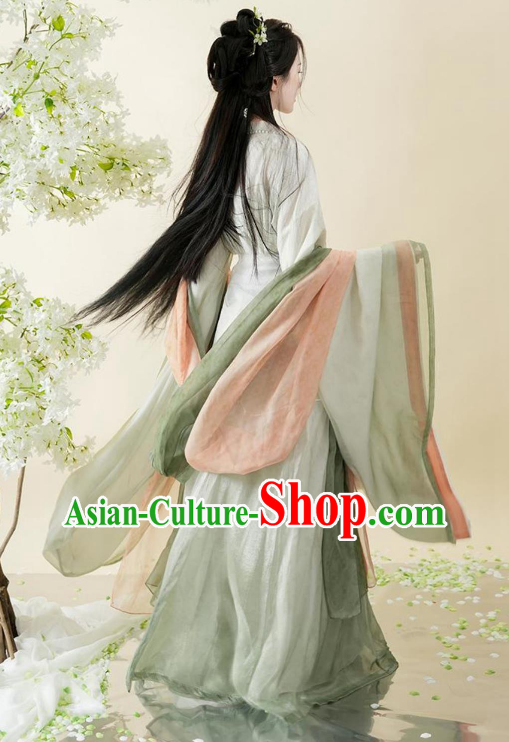 Ancient China Southern and Northern Dynasties Hanfu Clothing Online Buy Traditional Chinese Princess Costume Female Dress