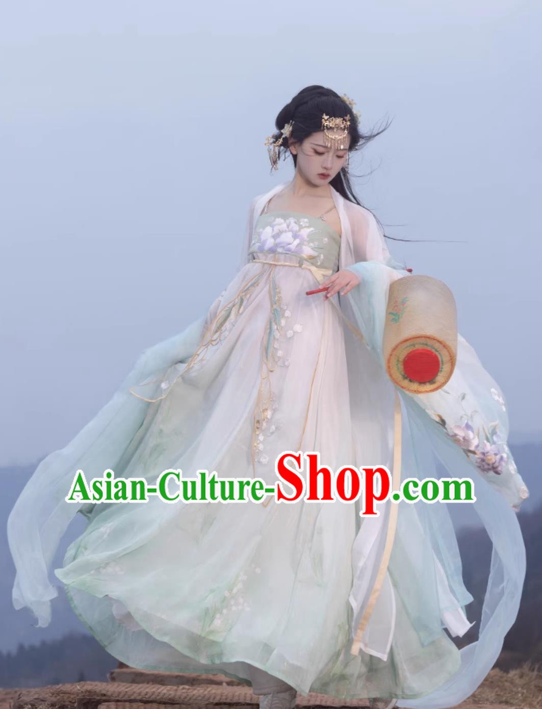 Ancient Chinese Female Costume Traditional Tang Dynasty Princess Hanfu China Classical Hezi Qun