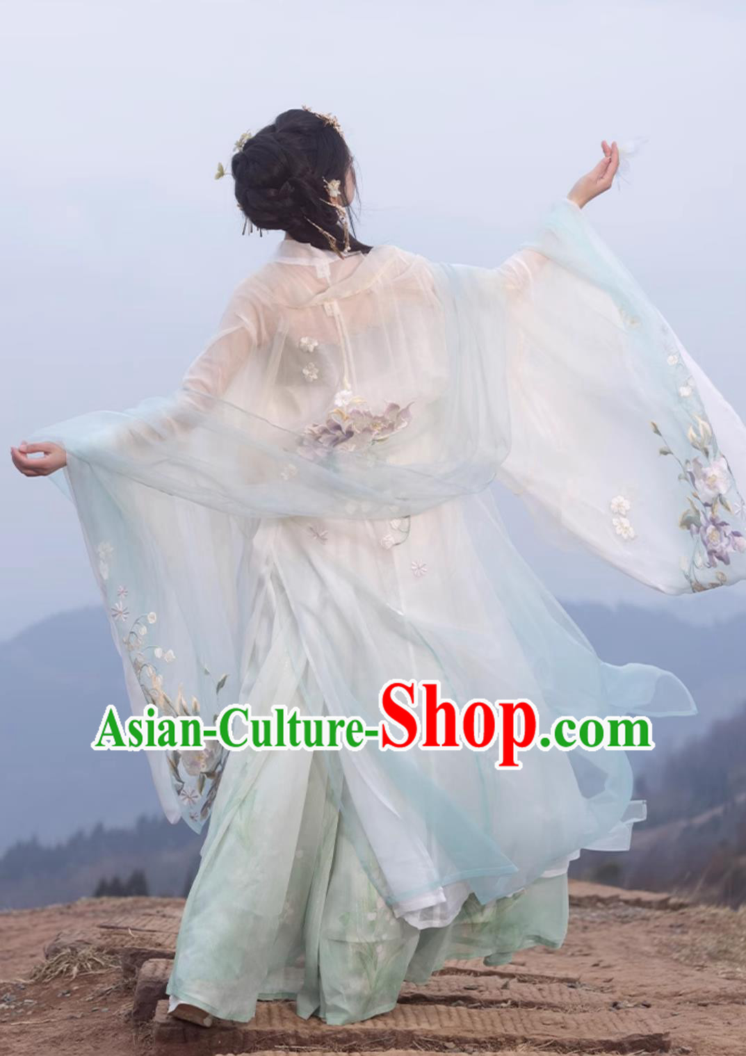 Ancient Chinese Female Costume Traditional Tang Dynasty Princess Hanfu China Classical Hezi Qun