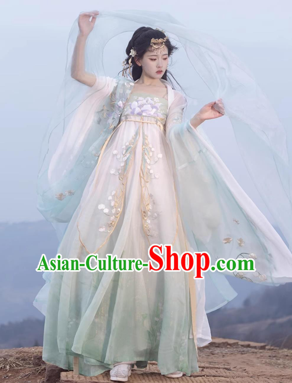 Ancient Chinese Female Costume Traditional Tang Dynasty Princess Hanfu China Classical Hezi Qun