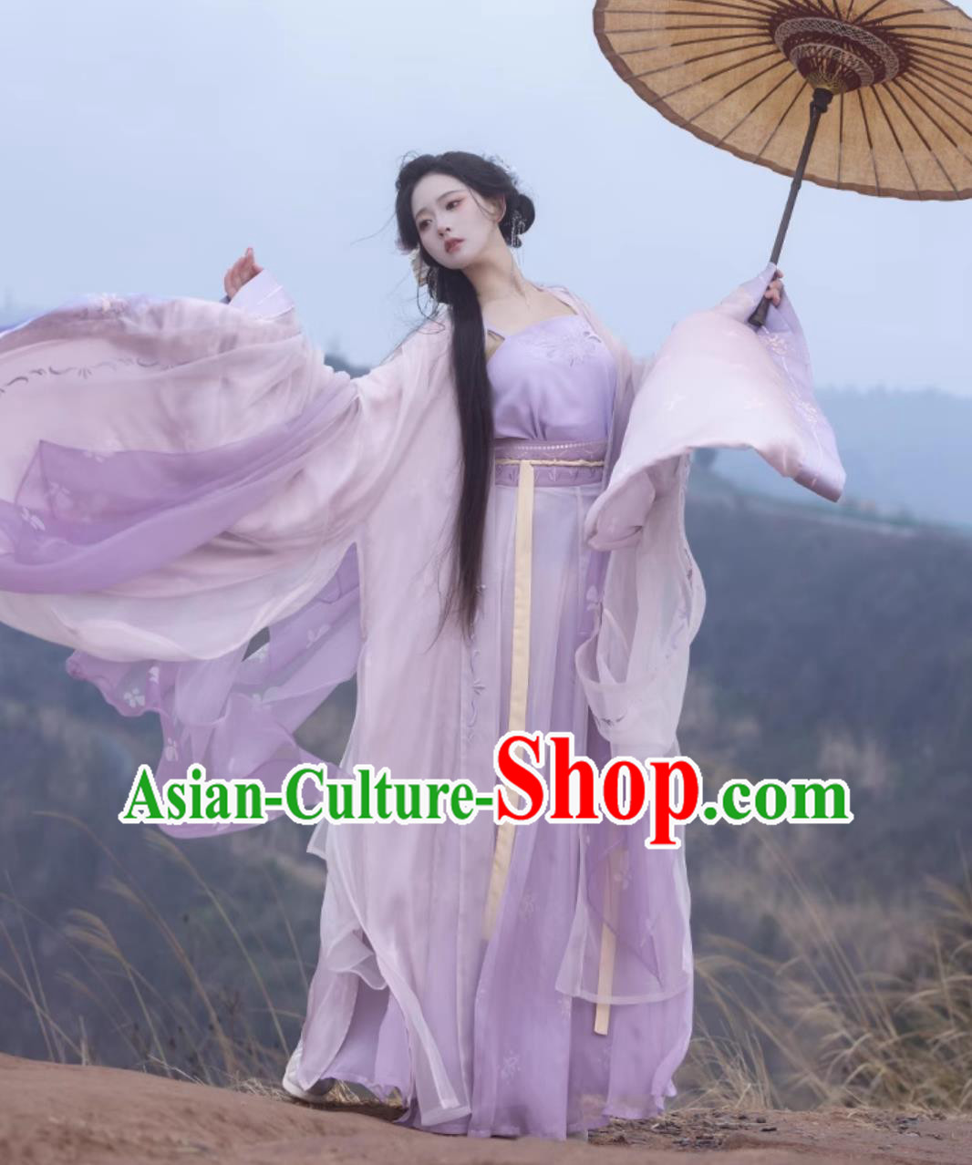 Traditional Song Dynasty Hanfu China Woman Clothing Ancient Chinese Princess Lilac Costumes