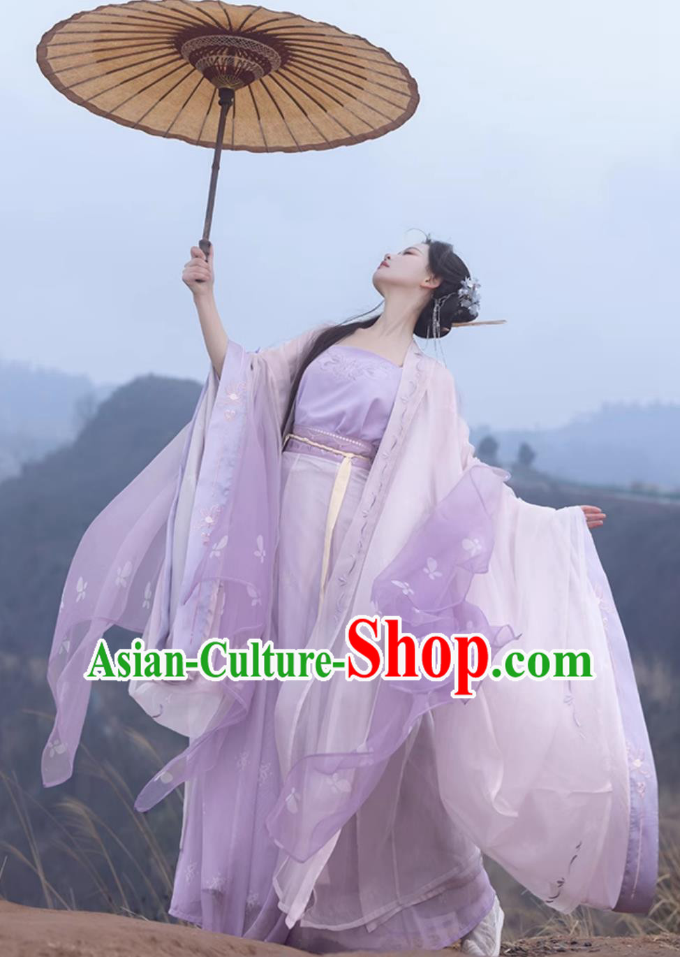Traditional Song Dynasty Hanfu China Woman Clothing Ancient Chinese Princess Lilac Costumes