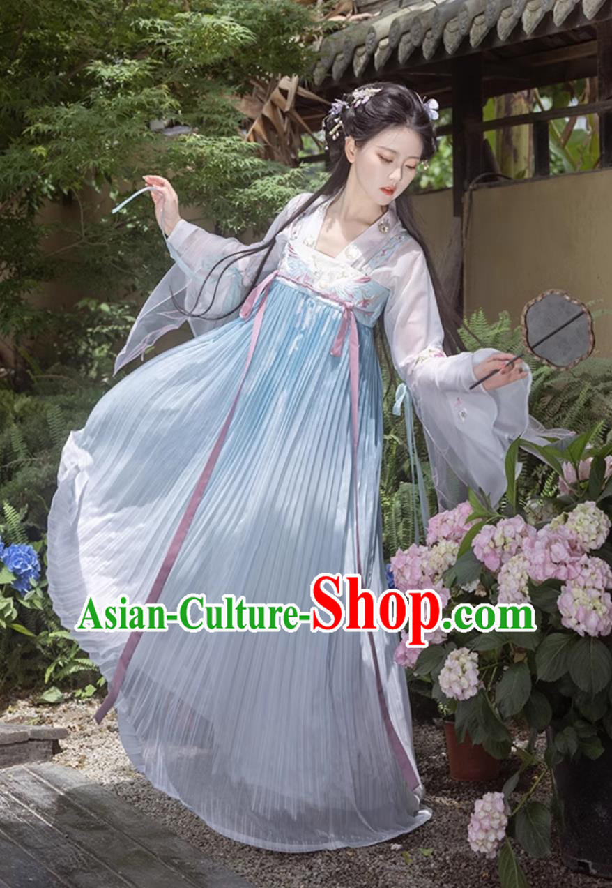 Traditional Tang Dynasty Princess Blue Hanfu Dress Ancient Chinese Clothing