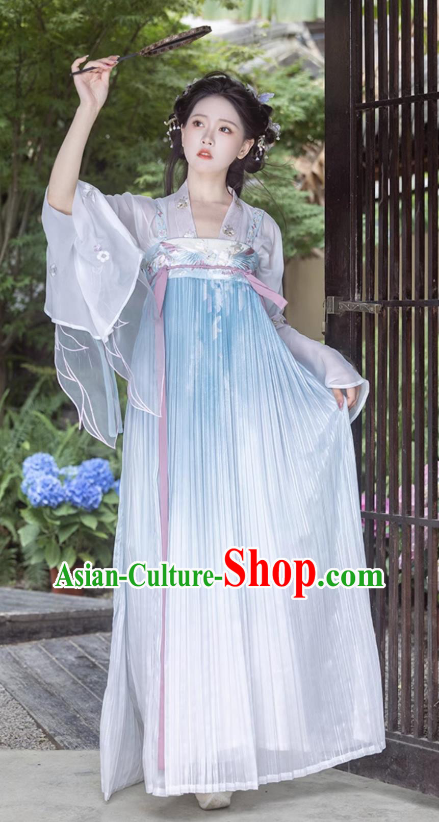 Traditional Tang Dynasty Princess Blue Hanfu Dress Ancient Chinese Clothing
