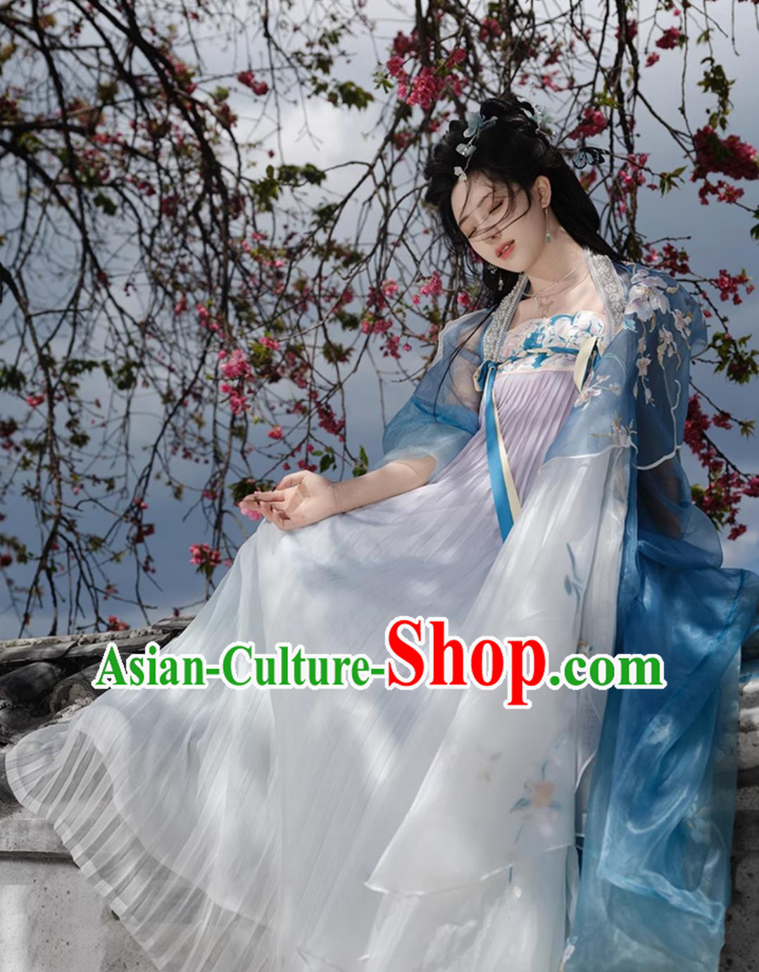 Traditional Hanfu Dress Ancient Chinese Female Clothing Tang Dynasty Princess Blue Garments
