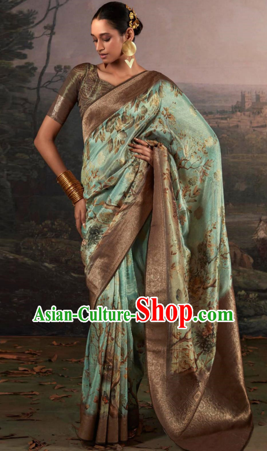 Indian National Clothing Traditional Costume India Women Light Green Sari Dress