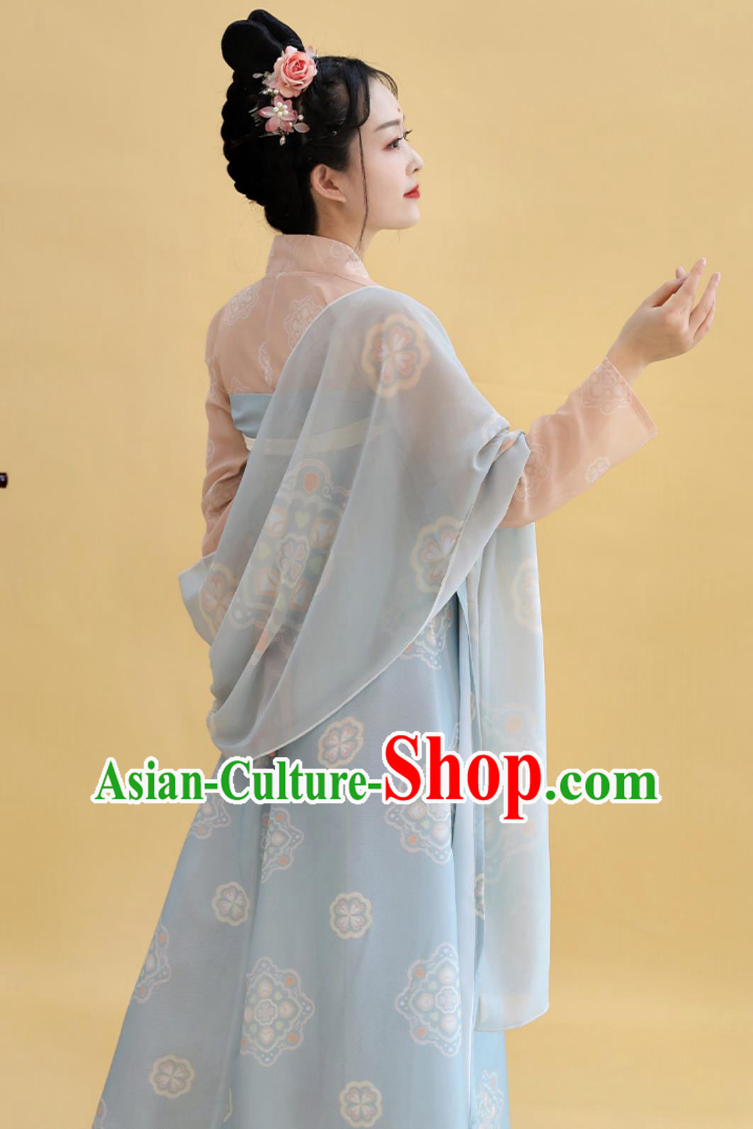 China Tang Dynasty Palace Lady Costume Traditional Hanfu Dress Ancient Chinese Clothing