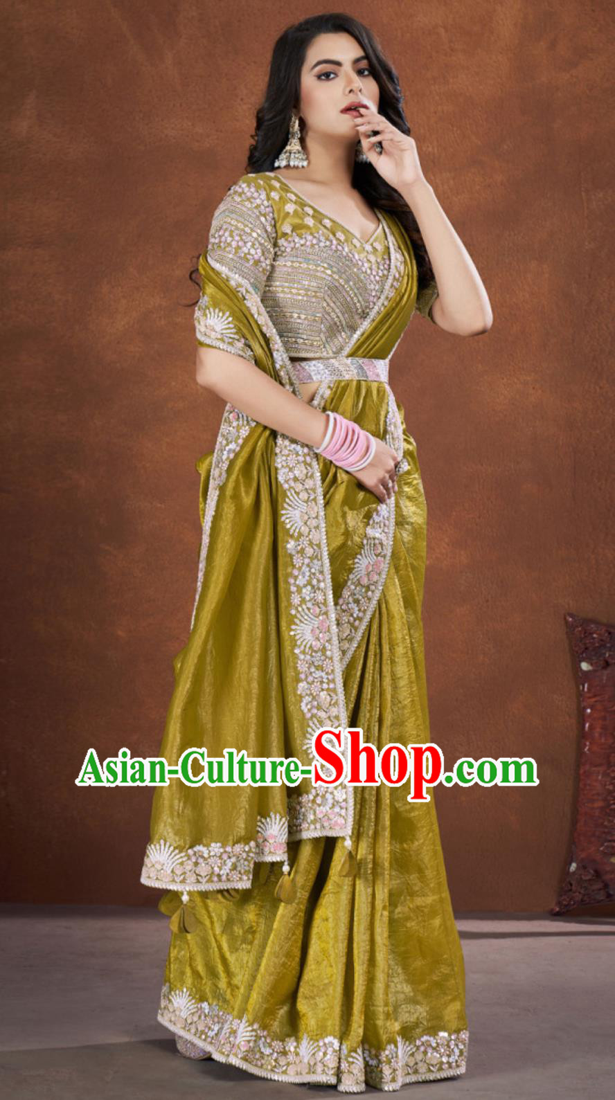 Indian Traditional Women Clothing India Embroidery Ginger Dress Festival Sari National Costume