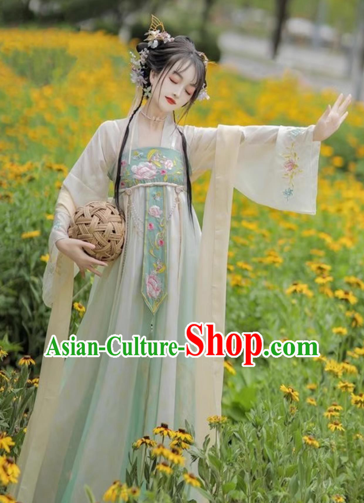 Chinese Tang Dynasty Young Lady Green Dress Ancient China Princess Clothing Traditional Hanfu
