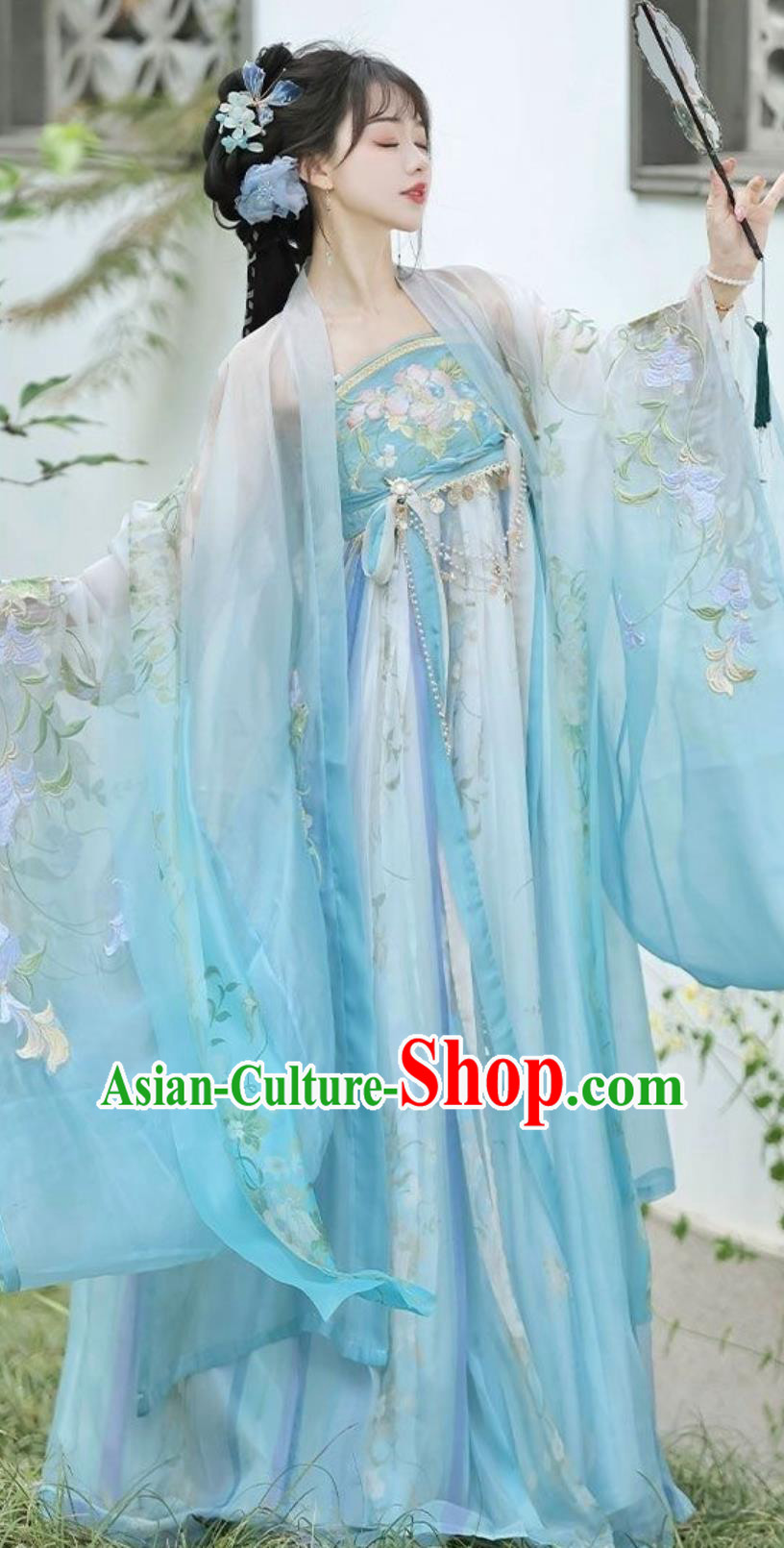 Traditional Blue Hanfu Ruqun Chinese Tang Dynasty Princess Dress Ancient China Young Woman Clothing