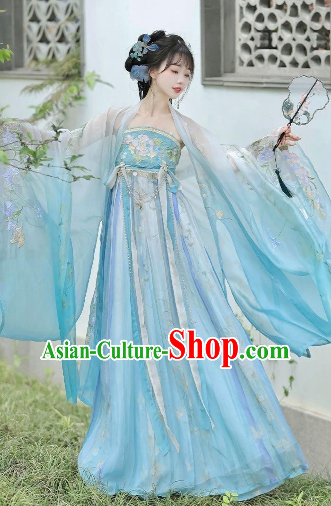Traditional Blue Hanfu Ruqun Chinese Tang Dynasty Princess Dress Ancient China Young Woman Clothing