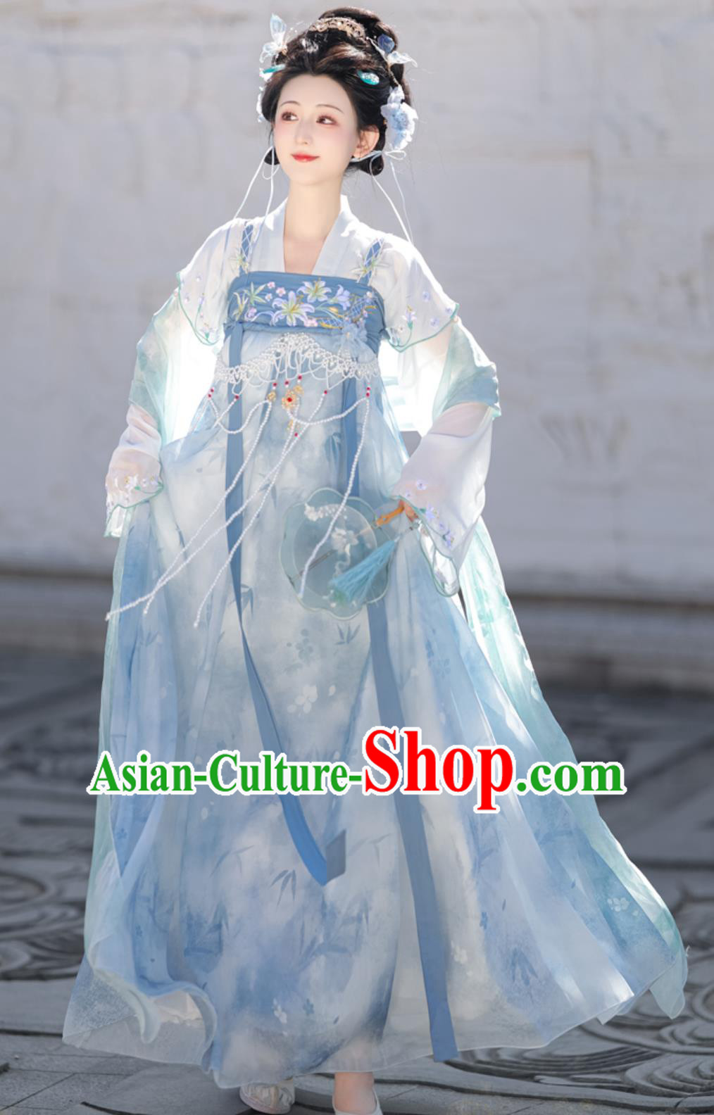 Traditional Hanfu Clothing Chinese Tang Dynasty Young Lady Blue Dress Ancient China Female Costume