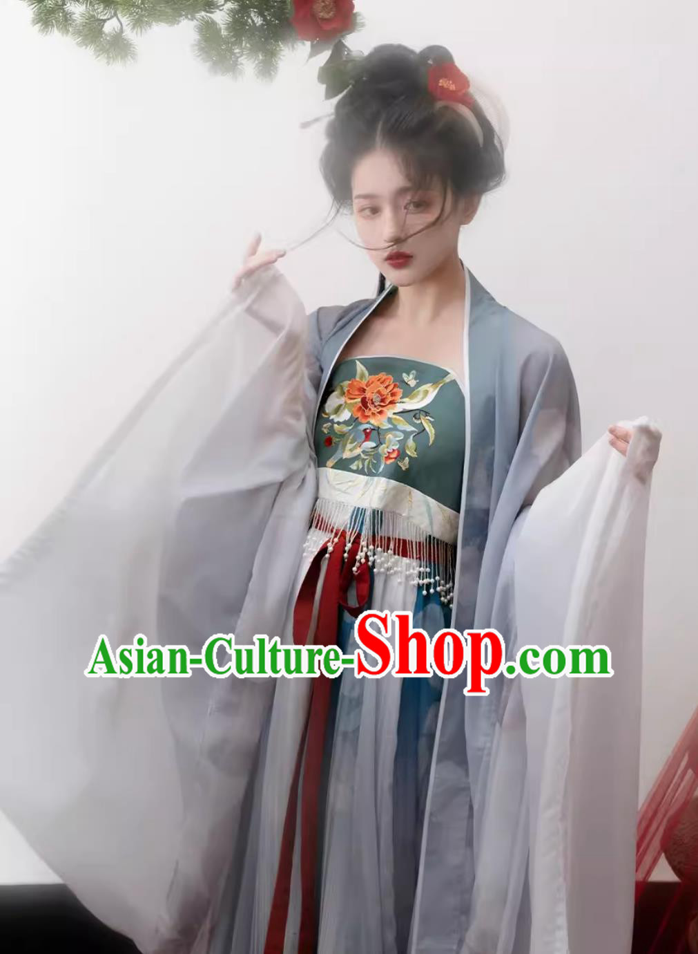 Chinese Ancient Princess Costumes Travel Photography Clothing Traditional Hanfu Tang Dynasty Hezi Dress