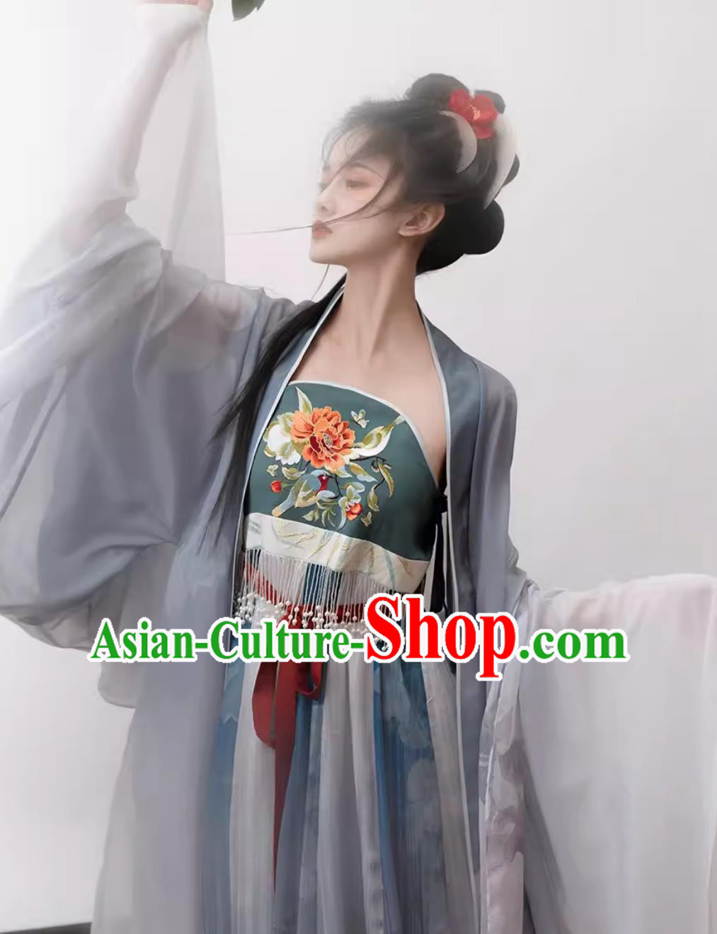 Chinese Ancient Princess Costumes Travel Photography Clothing Traditional Hanfu Tang Dynasty Hezi Dress