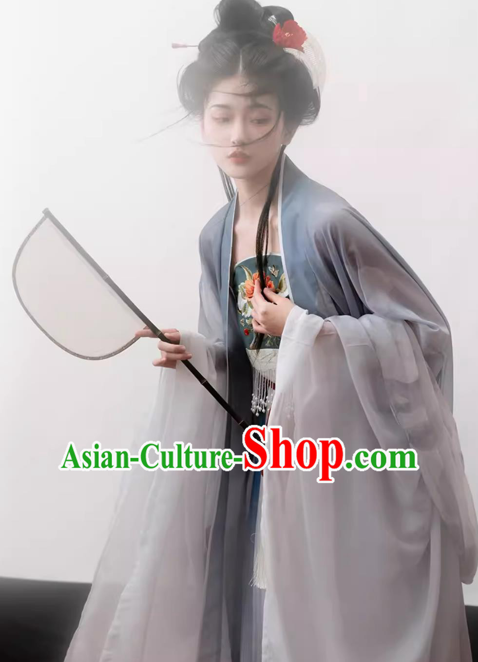 Chinese Ancient Princess Costumes Travel Photography Clothing Traditional Hanfu Tang Dynasty Hezi Dress