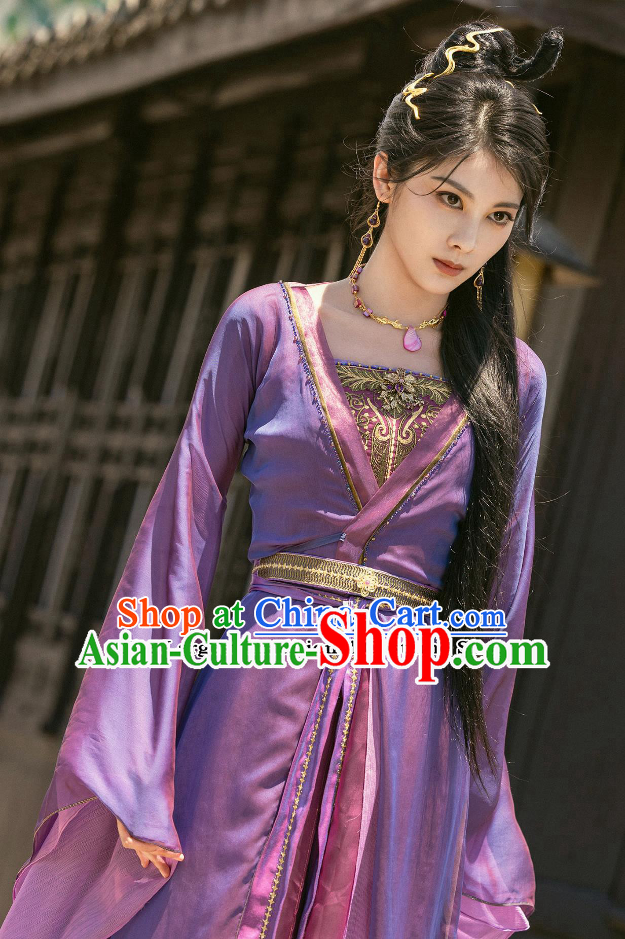 Ancient China Swordswoman Purple Garment Costume Chinese TV Series The Legend Of Shen Li Madam Jin Niang Zi Clothing