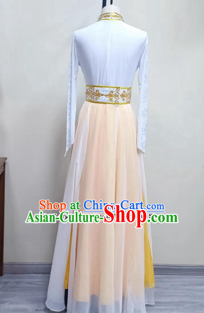 Chinese Mongolia Dance Costume Women Group Performance Dress China Dance Contest Clothing