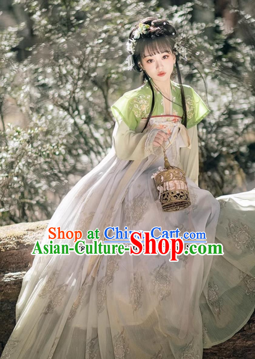 Chinese Hanfu China Tang Dynasty Young Lady Dress Ancient Royal Princess Costumes