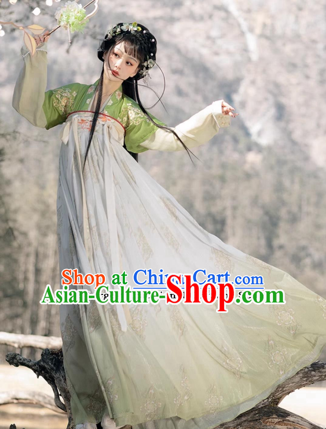 Chinese Hanfu China Tang Dynasty Young Lady Dress Ancient Royal Princess Costumes