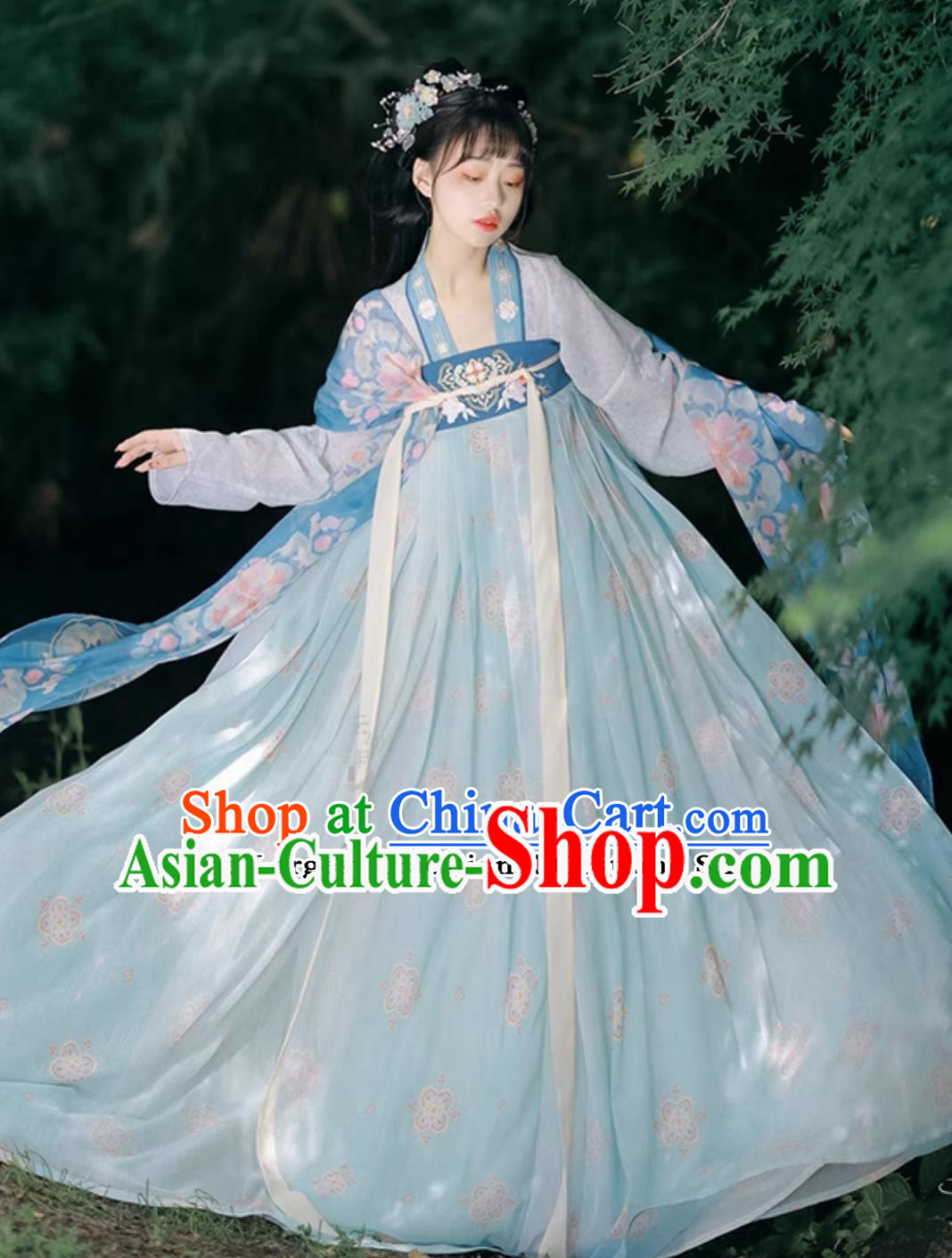 Tang Dynasty Young Lady Costume Chinese Hanfu Ancient China Royal Princess Blue Dress