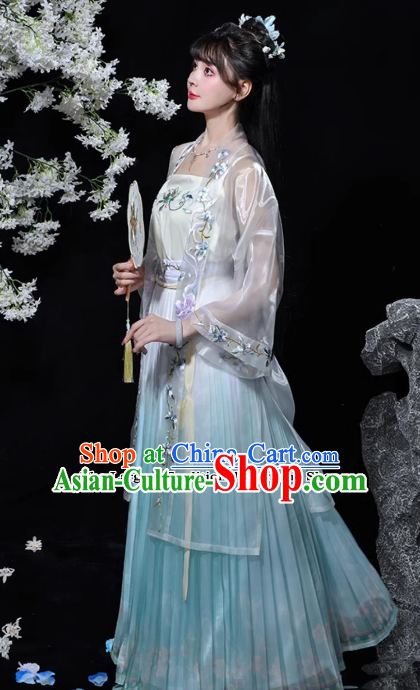 Chinese Song Dynasty Hanfu Ancient Young Lady Embroidered Blue Dress Traditional China Woman Clothing