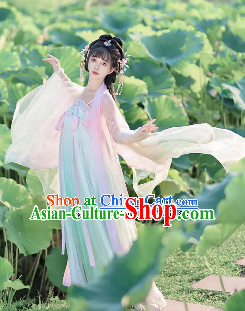 Chinese Traditional Clothing Tang Dynasty Princess Hanfu Ru Qun Robe Ancient China Young Woman Costume