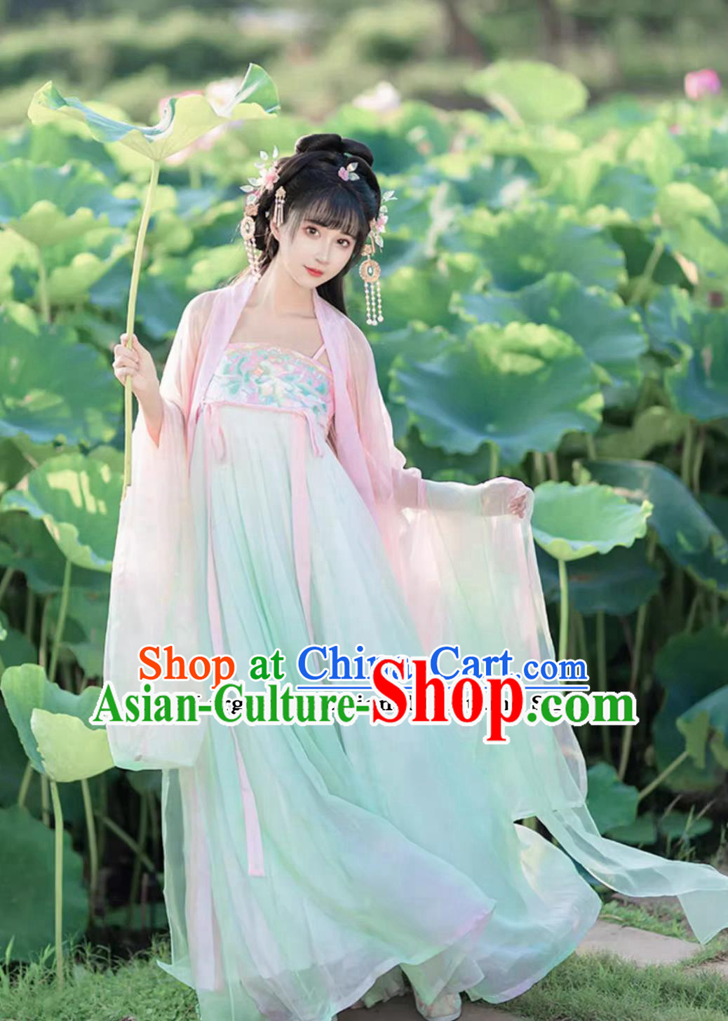 Chinese Traditional Clothing Tang Dynasty Princess Hanfu Ru Qun Robe Ancient China Young Woman Costume