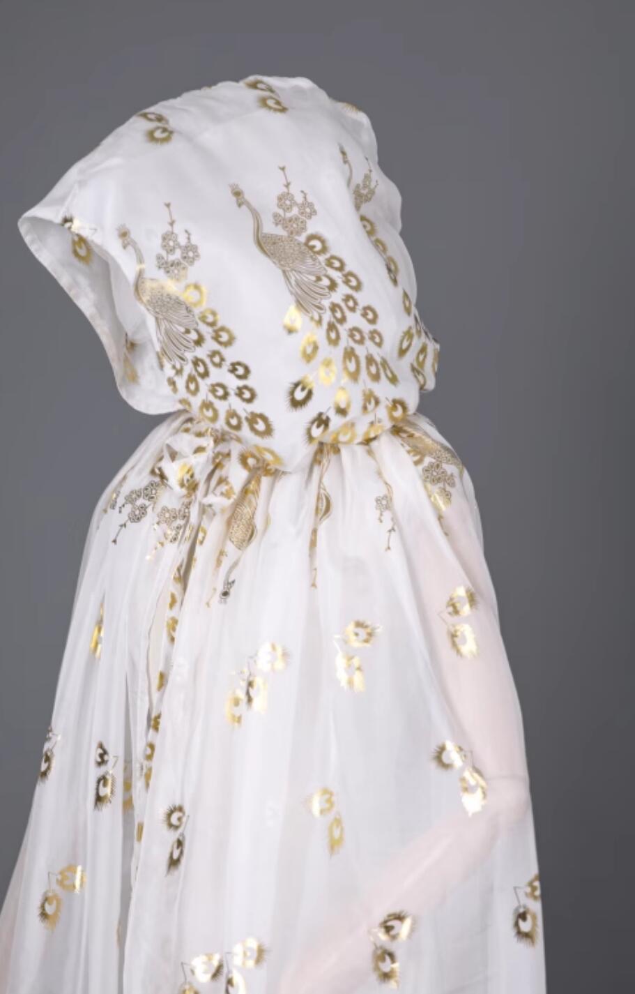 Traditional Chinese Hanfu Cosplay Swordswoman White Cloak Ancient Princess Printing Peacock Cape