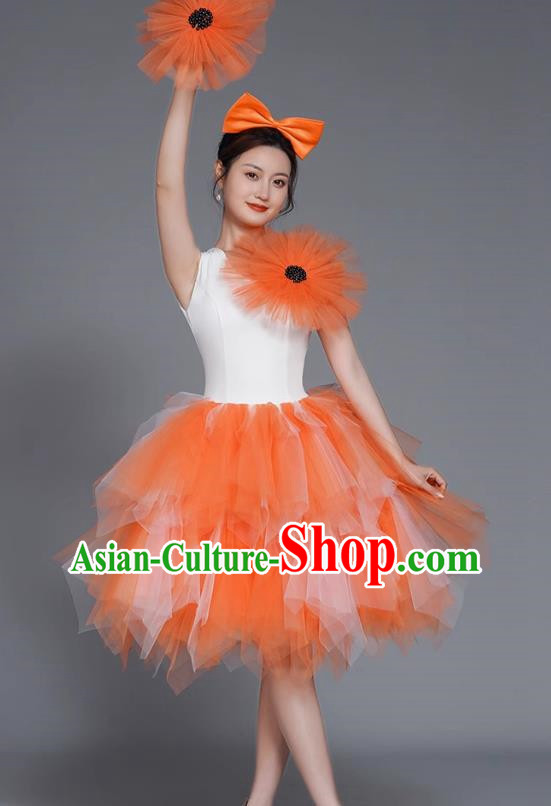 Modern Dance Costumes Fashion Dancer Costumes Opening Dance Costumes Fluffy Chorus Square Dance Dresses