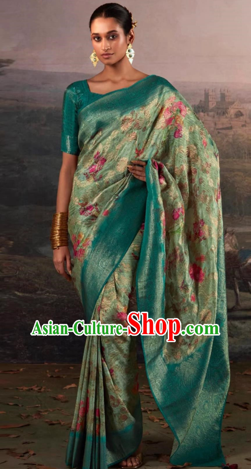 Indian Traditional Costume Green Sari India National Women Clothing