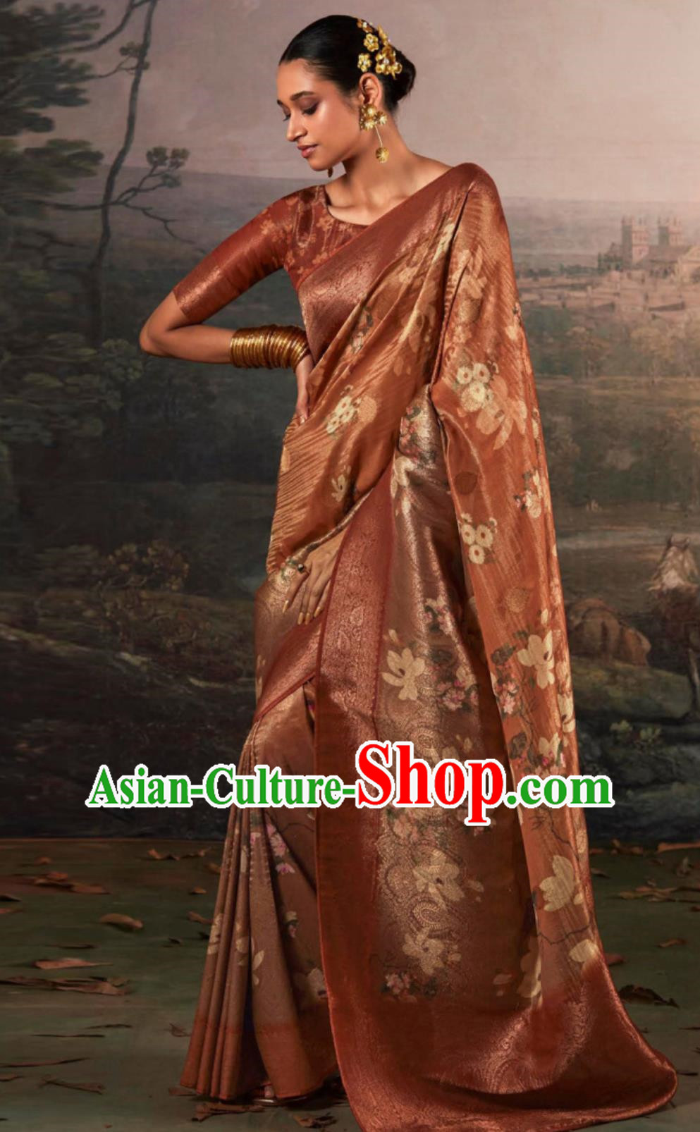 Indian Traditional Costume India Rust Red Sari Dress National Women Clothing